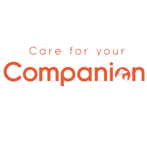 Companion 
